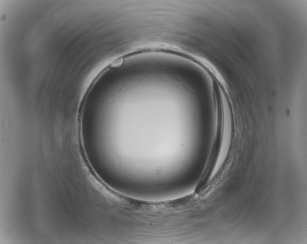 X0000080120903200612081249