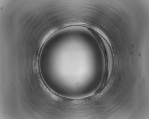 X0000080120906200612081249