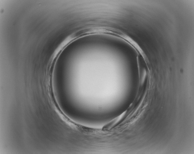 X0000080120909200612081249