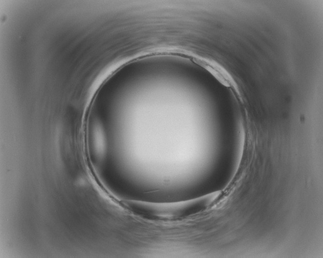 X0000080120911200612081249
