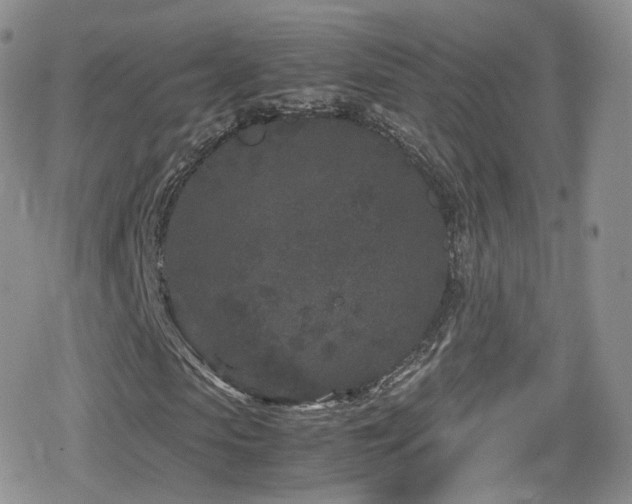 X0000080120913200612081248