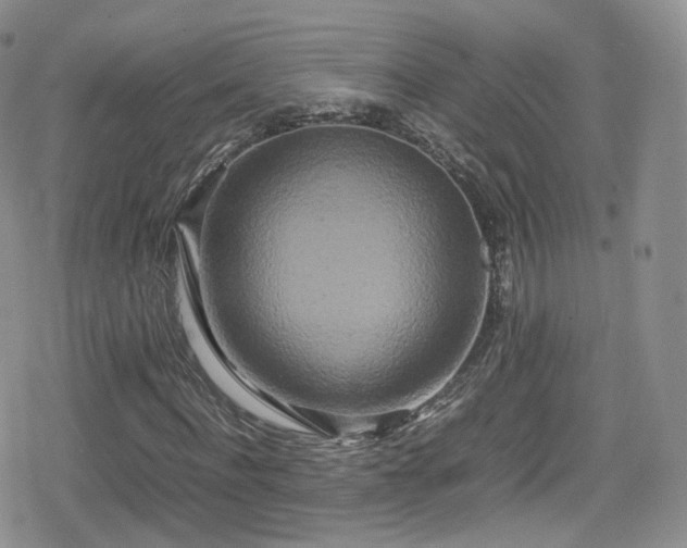 X0000080120916200612081248