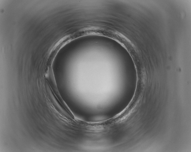 X0000080120921200612081248
