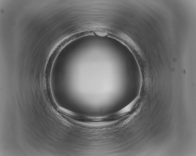 X0000080120924200612081248