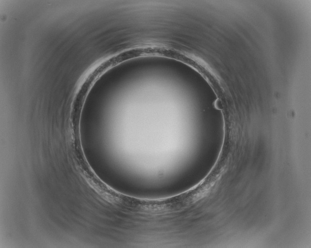 X0000080120927200612081248