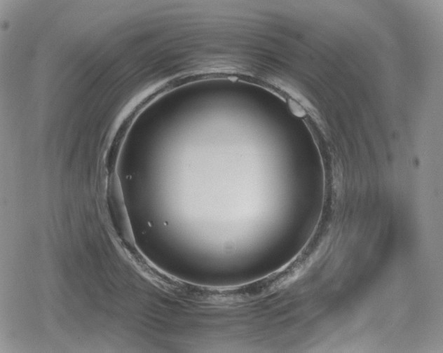 X0000080120933200612081248
