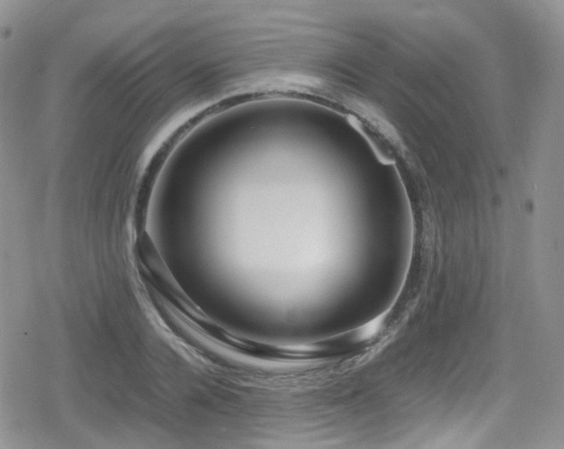 X0000080120936200612081248