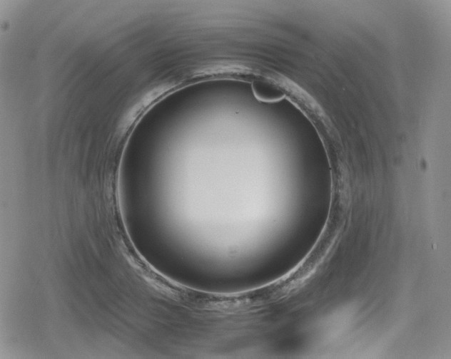 X0000080120937200612081248