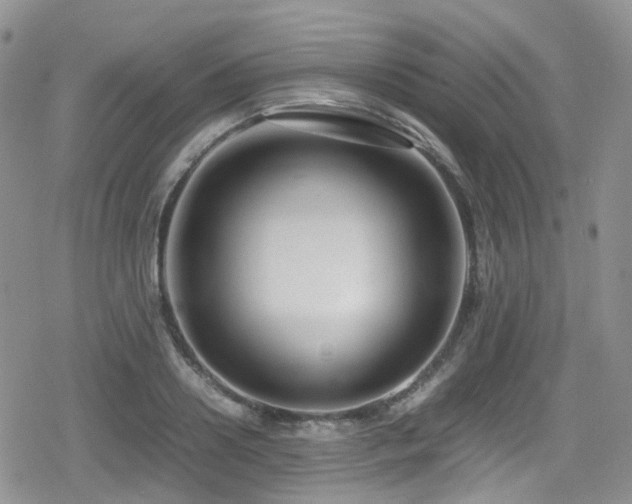 X0000080120938200612081248
