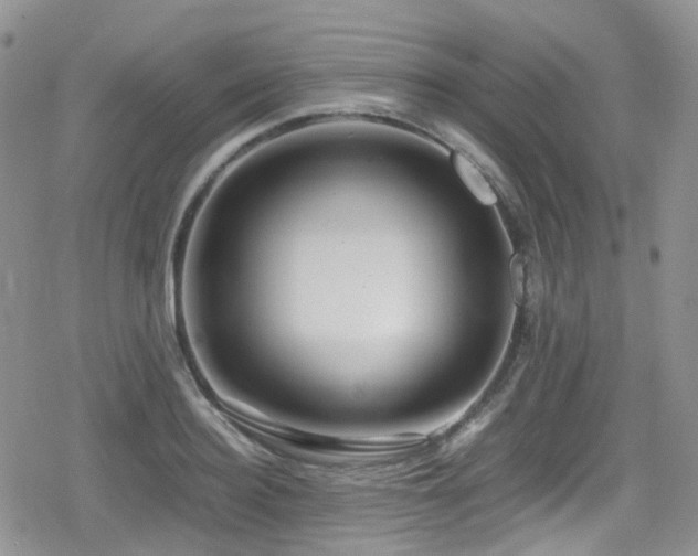 X0000080120940200612081248