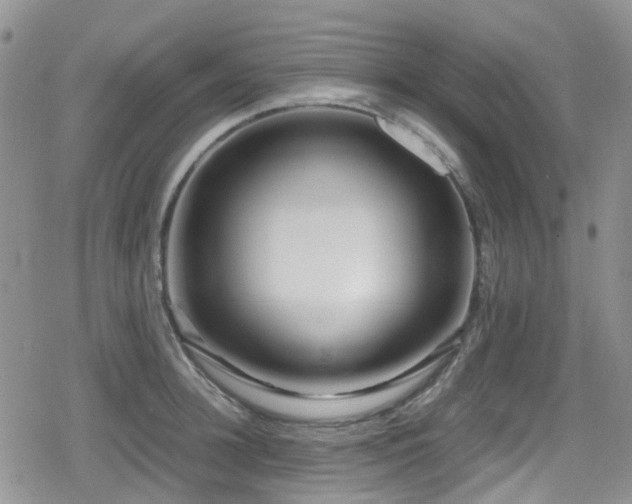 X0000080120948200612081248