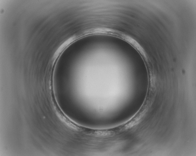 X0000080120954200612081249