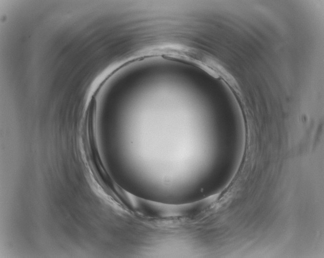 X0000080120960200612081249