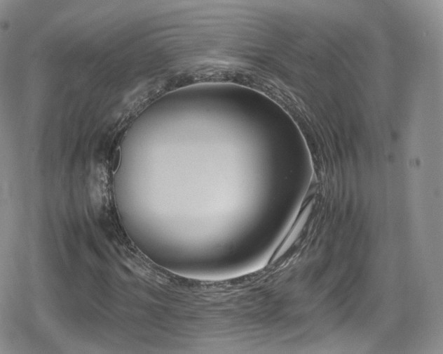 X0000080120964200612081248