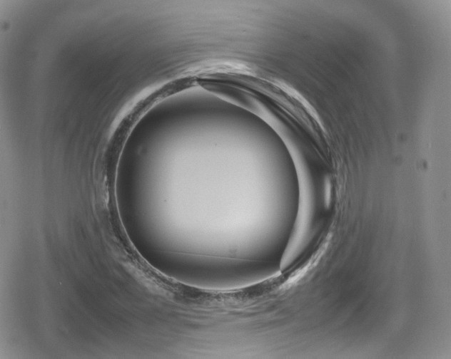 X0000080120973200612081248