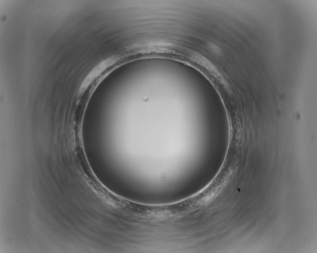 X0000080120978200612081248