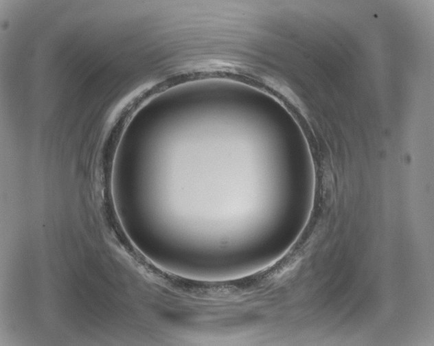 X0000080120979200612081248