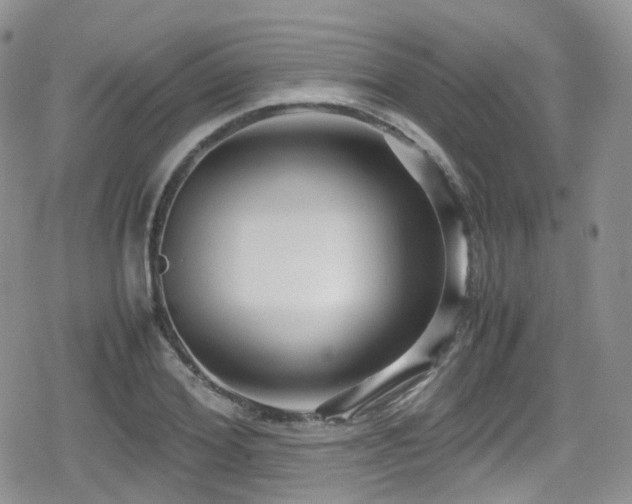 X0000080120980200612081248