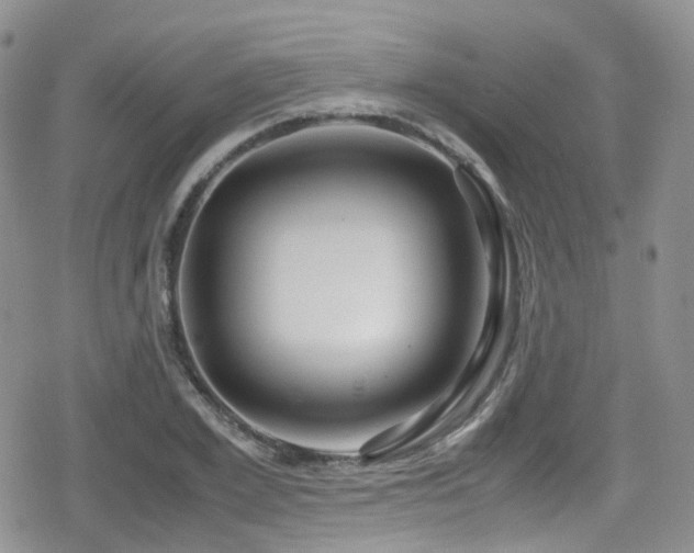 X0000080120981200612081248