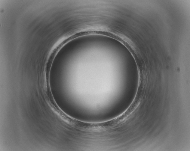 X0000080120982200612081248