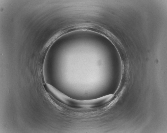 X0000080120985200612081248