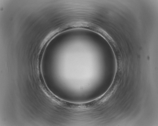 X0000080120986200612081247
