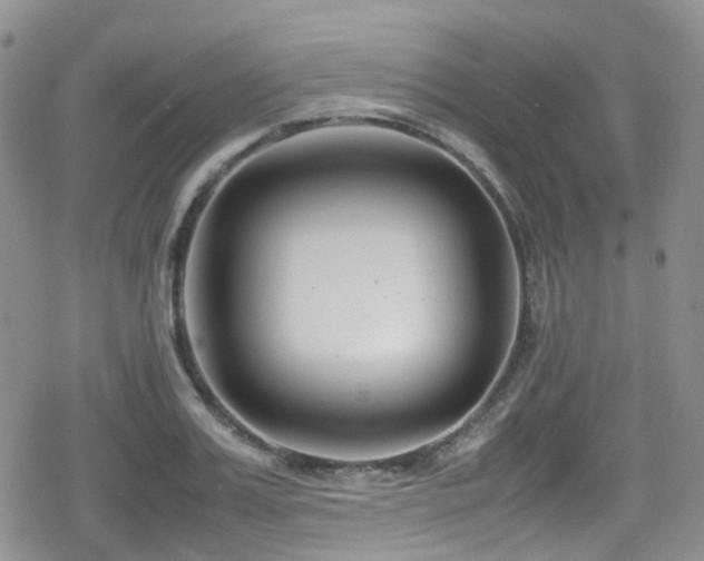 X0000080120987200612081247