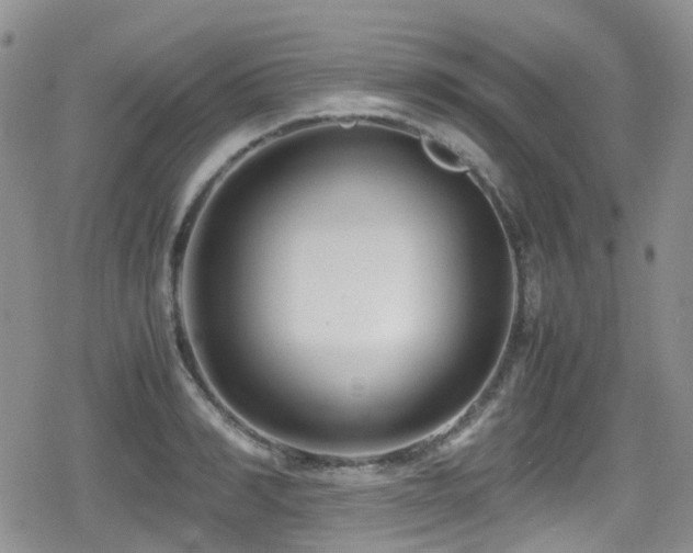 X0000080120990200612081247