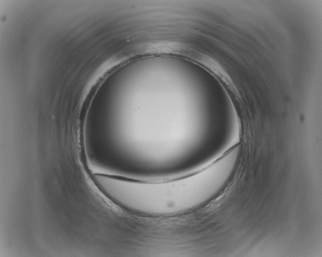 X0000080120992200612081247