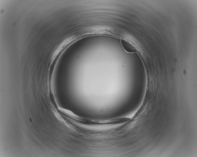X0000080120994200612081247