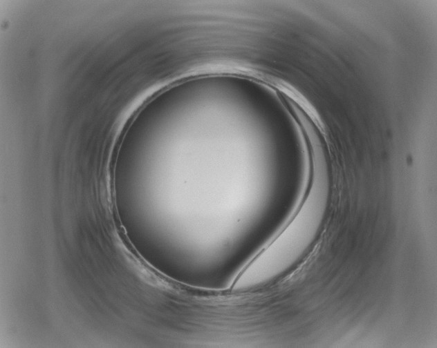 X0000080120996200612081247