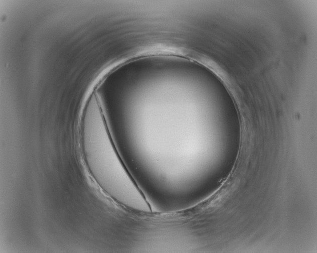 X0000080121008200612081247
