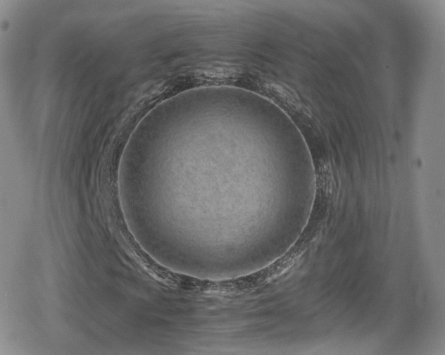 X0000080121009200612081246