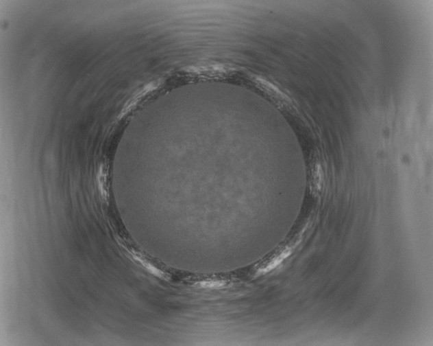X0000080121010200612081246