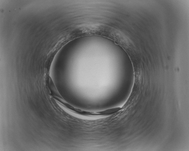 X0000080121012200612081246