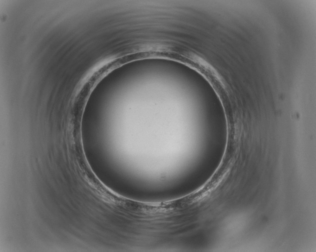 X0000080121019200612081247