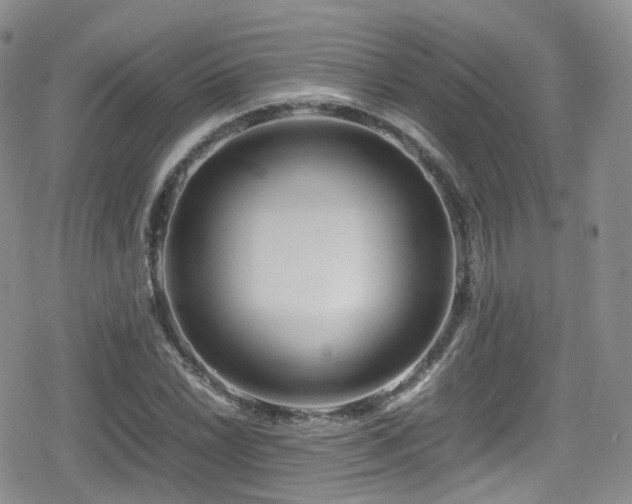 X0000080121022200612081247