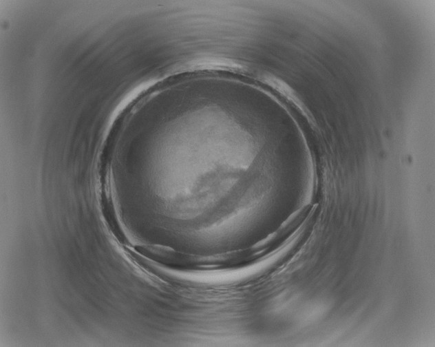 X0000080121024200612081247