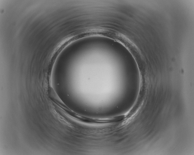 X0000080121025200612081247