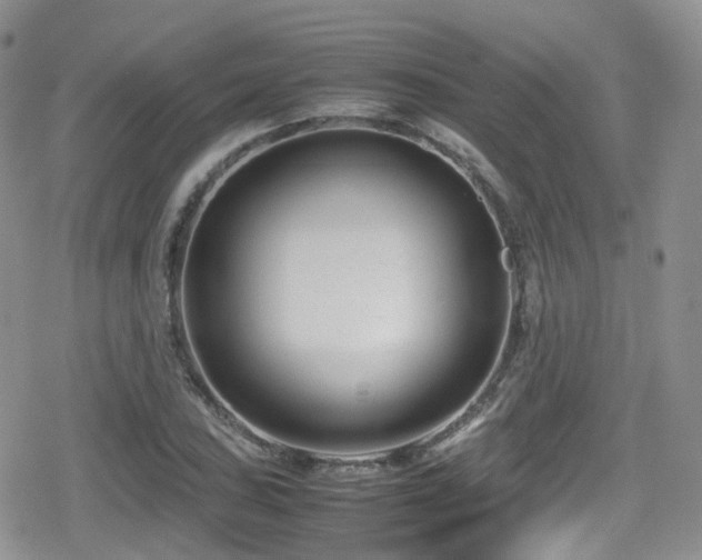 X0000080121027200612081247