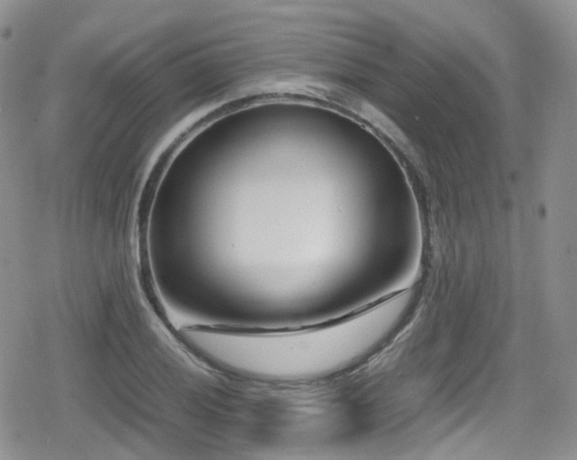 X0000080121028200612081247