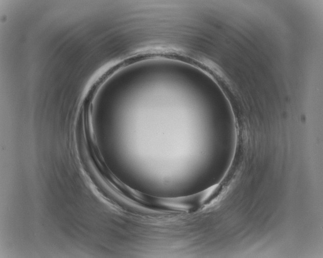 X0000080121030200612081247