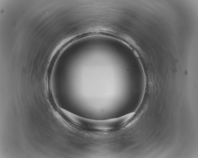 X0000080121032200612081247