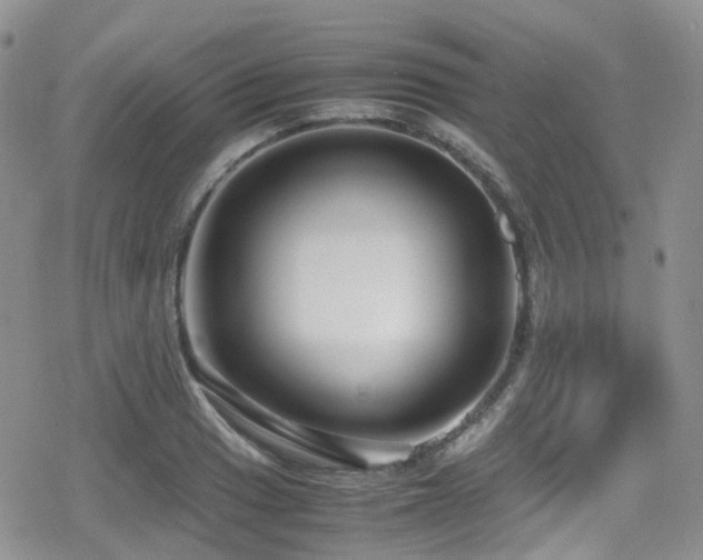 X0000080121033200612081247
