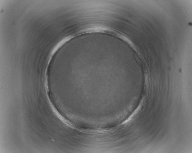 X0000080121034200612081247
