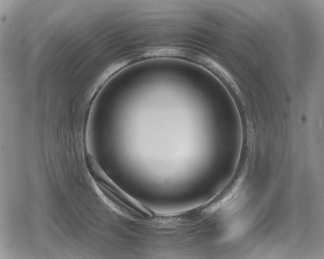 X0000080121041200612081247