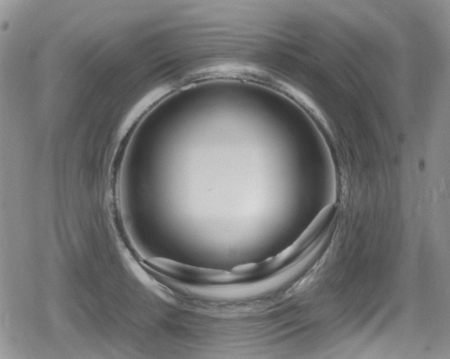 X0000080121042200612081247