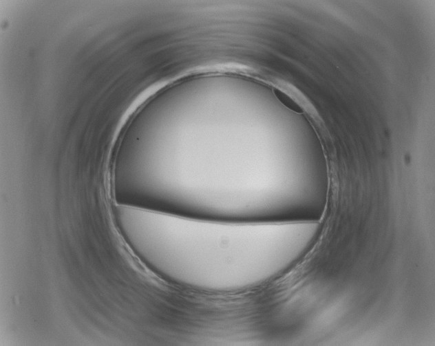 X0000080121044200612081247