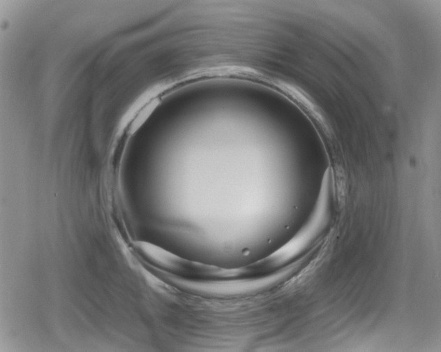 X0000080121046200612081247