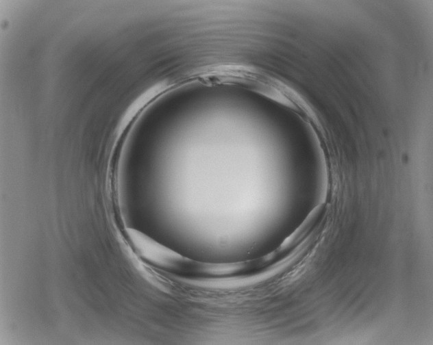 X0000080121050200612081247